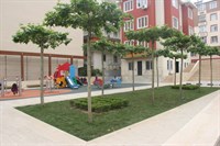 MUHTAR ALİ ASLAN PARKI