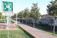 PİKNİK PARK