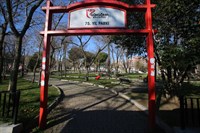 75. YIL PARKI