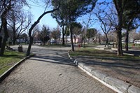 75. YIL PARKI