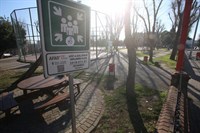 BARIŞ PARKI